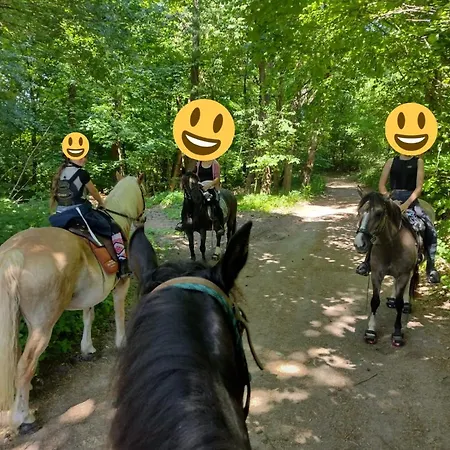 Private Camping Vermietung Auf Dem Hof Oder Natur-echt Auf Wiese Кемпинг