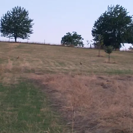 Private Camping Vermietung Auf Dem Hof Oder Natur-echt Auf Wiese *