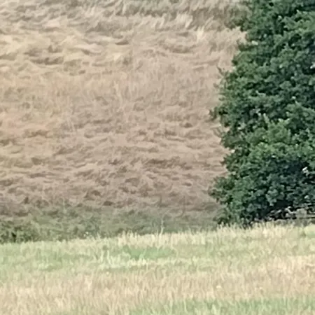 Private Camping Vermietung Auf Dem Hof Oder Natur-echt Auf Wiese